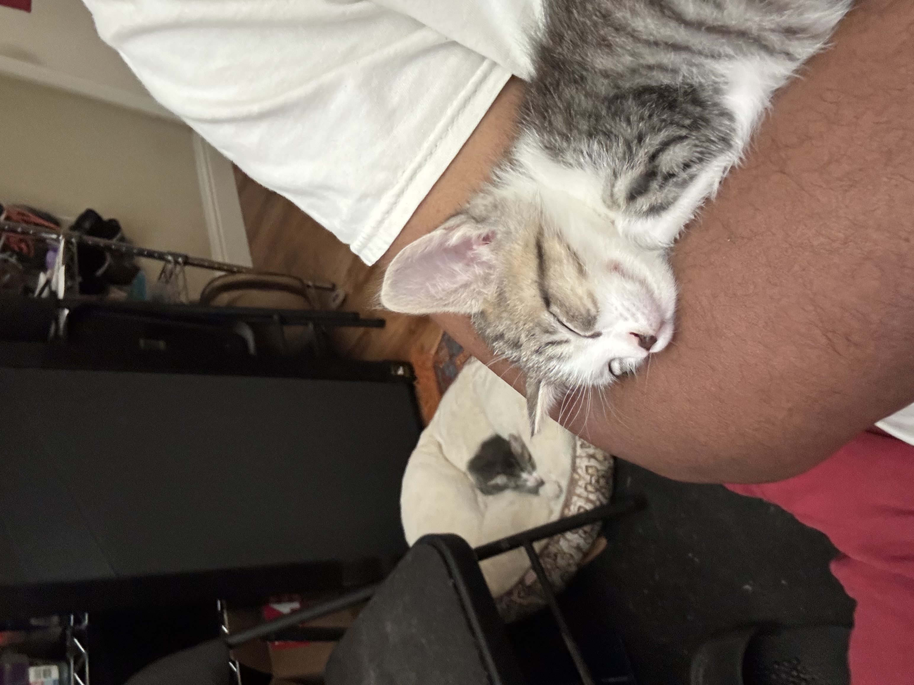 Matilda asleep in my arms while Thaddeus naps nearby!
