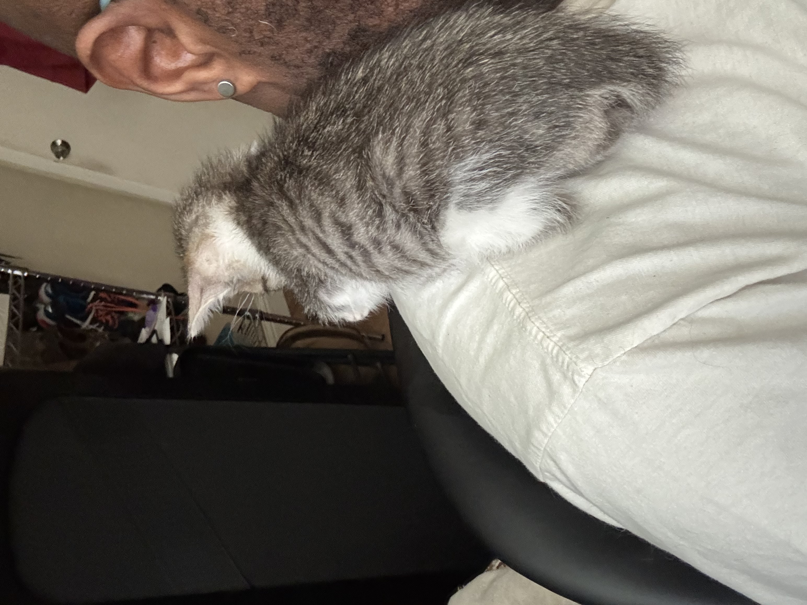 Matilda’s a shoulder-sitter! ❤️